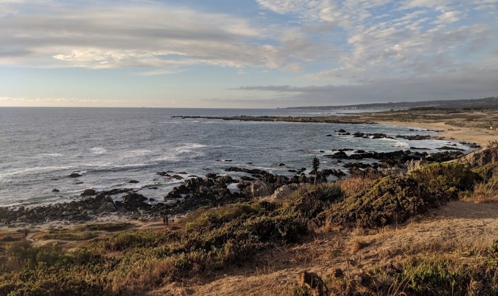 A rocky shoreline with low coastal scrub arcs into the distance under scattered clouds.